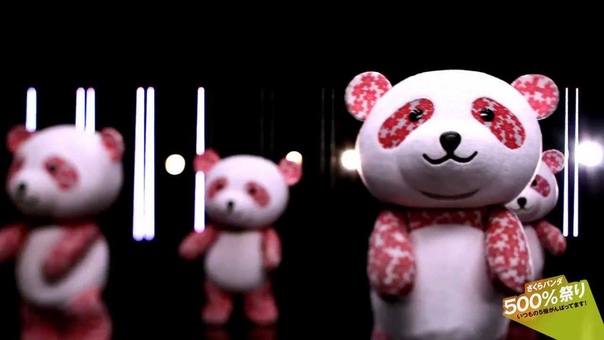 Panda Sakura Sakura Panda Dance PV Sakura Panda