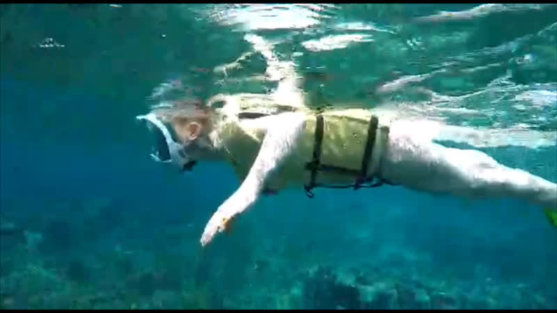 Snorkeling in