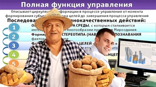Ефимов В. А.  Полная функция управления