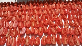 Domatesi ka Bu Yntemle SAKLAYIN  Kn Salata ve Yemeklerde Kullann  Domates Nasl Kurutulur