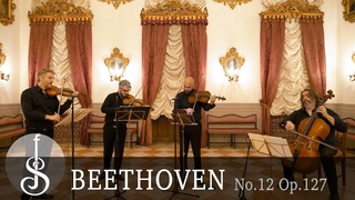 Beethoven | String Quartet   - Quartetto di Cremona