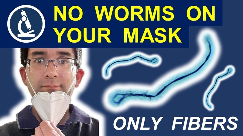Why you should NOT be worried about microscopic worms ( Morgellons) in your Face Mask