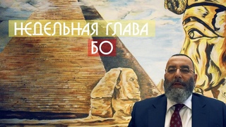 Недельная глава БО/Рав Давид Юшуваев/ Тора Ми Цион