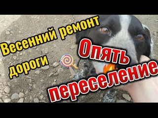 Ежегодный весенний ремонт дороги, переселение птицы, пмж в краснодарский край