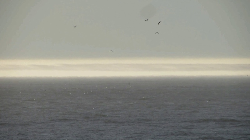 Miraged sea