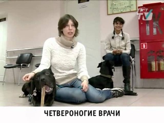 Ушастые терапевты в школе № 9 для детей с ДЦП питбуль Канис-терапия Собакотерапия Канистерапия зоотерапия