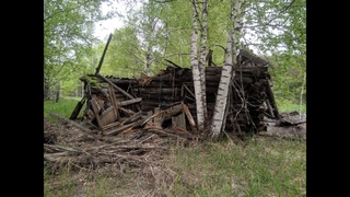 Нижегородские леса. УЖД Чернораменского ТУ. Покинутый поселок Дальний. Бывшие торфоразработки.
