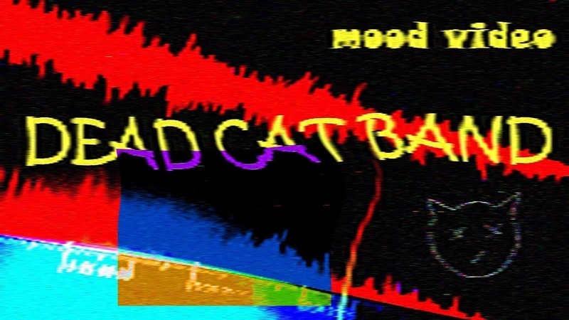 DEAD CAT BAND Addicted To Bass COVER (mood
