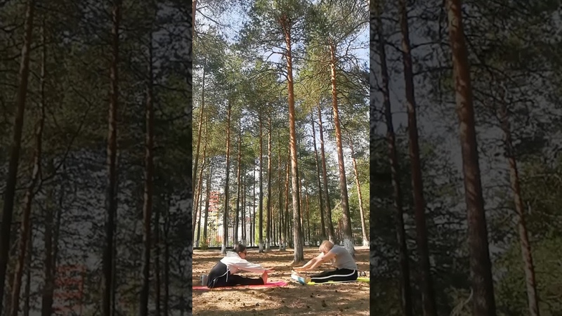 Утренняя йога в парке. Тайга. ХМАО.