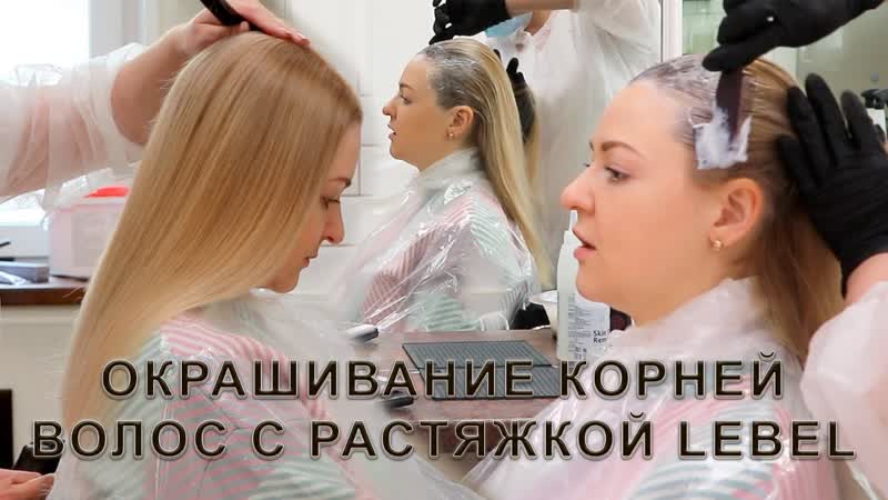 Прикорневое окрашивание волос Lebel японская краска в Москве