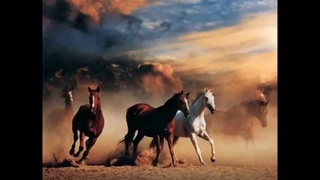 Leslie Fish - The Horse Tamer’s Daughter