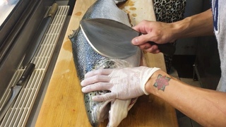 How to Fillet a Salmon for Sashimi