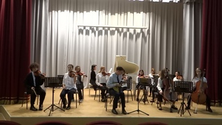 Камерный оркестр, солист Кучин Степан