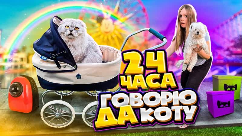 24 ЧАСА ГОВОРЮ ДА КОТУ КЕВИНУ, ПРАНКИ НАД