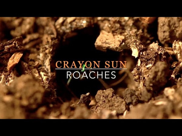 Crayon Sun :