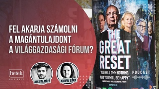 Tnyleg nem akarja felszmolni a magntulajdont a Vilggazdasgi Frum | Hetek Originals