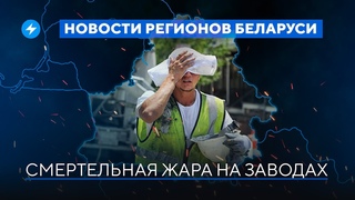 Милиция помогает вандалам / Суд над чиновником // Новости регионов Беларуси