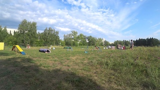 Новички 2 трасса. Гнедина Ксения и новошотландский ретривер Мэди