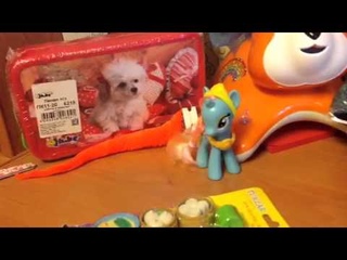 мои новинки 3 часть