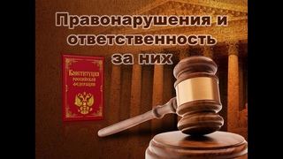 «Правонарушения и ответственность за них» - познавательный видеоролик для детей