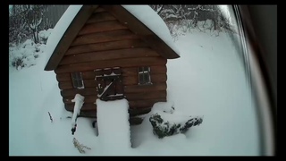Зимняя сказка! Чудеса природы, сугробы в ноябре.