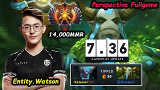 Watson  Nature Prophet 14K MMR Carry PERSPECTIVE FULLGAME Dota 2