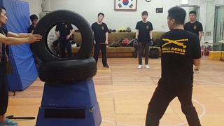Tire Training With Stick, Kali