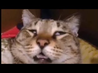КРИТИЧЕСКОЕ Повреждение ДВИГАТЕЛЯ Движение НЕВОЗМОЖНО