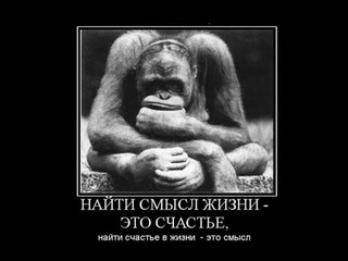 Физика и философия Ритмодинамики. Владимир Витвицкий, физик-теоретик