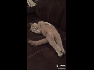 Видео от Дмитрия Манукова