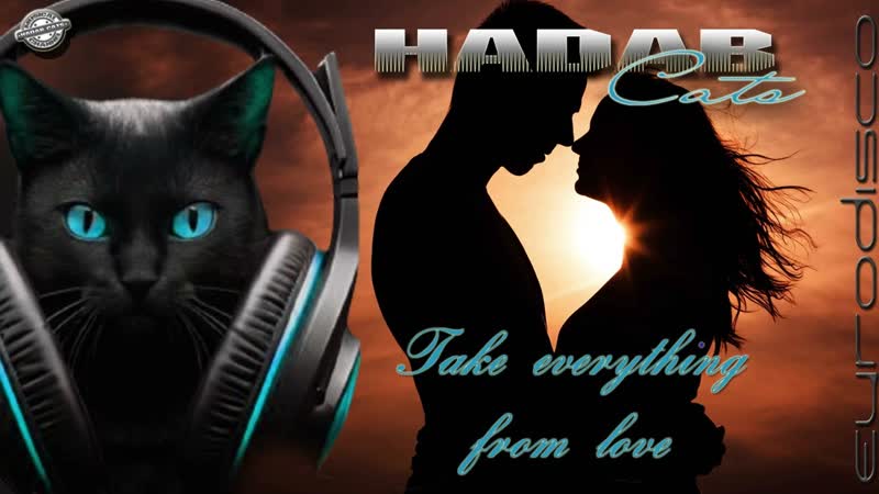 Hadab Cats Take everything from