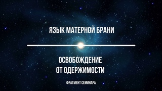Язык матерной брани. Освобождение от одержимости. Фрагмент семинара.