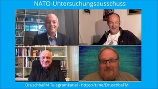 NATO-Untersuchungsausschuss: Beeinflussung der ffentlichen Meinung durch Medien und NGO