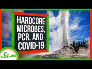 How Extreme Microbes Are Helping Us Test for COVID-19