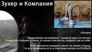 Зухер без Компании - Гагара