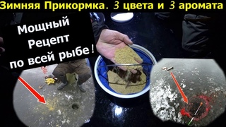 Прикормка взорвала лунку. Рыба выглядывает за ней из лунки.  Зимняя прикормка для рыбалки. Лещ и...