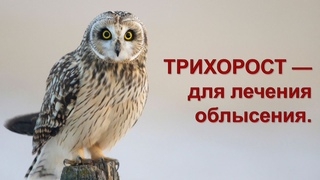 ТРИХОРОСТ  Для лечения облысения.