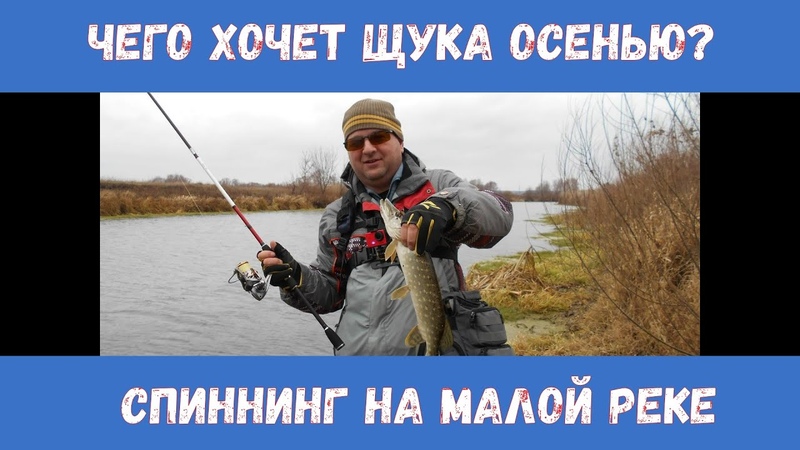 Чего хочет ноябрьская щука на малой реке. Мысли вслух о Aspen