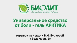 Универсальное средство от боли - гель АРКТИКА. отрывок из лекции В.Н. Бурковой Боль часть 1