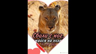 Красивые цитаты 💯 мысли 💯Позитив💯☕🌐🎧