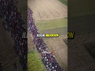 Massive illegal migration #migration #poland #belarus