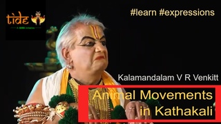 Animal movements in Kathakali | Kalamandalam V R Venkitt | The Indian Dance Experience
