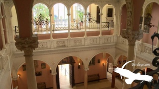 VILLA EPHRUSSI