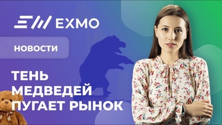 EXMO Крипто Новости | Страх на крипторынке, потери биткоина, борьба регуляторов с биржами-нелегалами