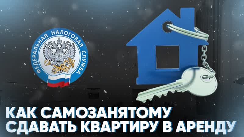 Как самозанятому сдавать квартиру в аренду Какие