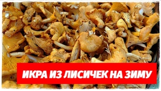 Грибная Икра Из Лисичек На Зиму. 213