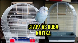 Клітка для папужки Купила нову клітку для папужки Як переселити без стресу