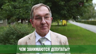 Вектор Мнений: Чем занимаются депутаты?