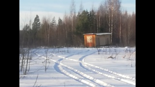 зимовка пчел февраль 2020