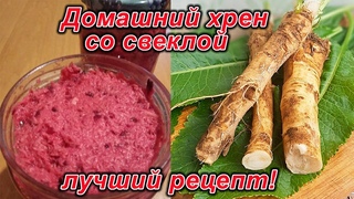 Домашний хрен со свеклой - лучший рецепт!